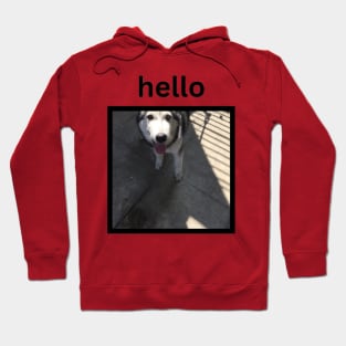 Cute Funny Silly Husky Dog Looking Up Hello Caption Hoodie